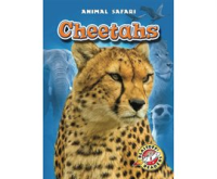 Cheetahs by Borgert-Spaniol, Megan